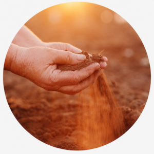 soil-amendments-resized